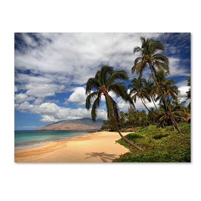 Trademark Fine Art Kamaole Tropical 14 x 19 Canvas Art