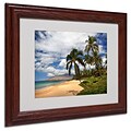 Trademark Fine Art Kamaole Tropical 11 x 14 Wood Frame Art
