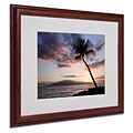 Trademark Fine Art Palm Tree Maui 16 x 20 Wood Frame Art