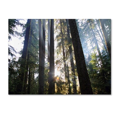 Trademark Fine Art Sunrays 16 x 24 Canvas Art