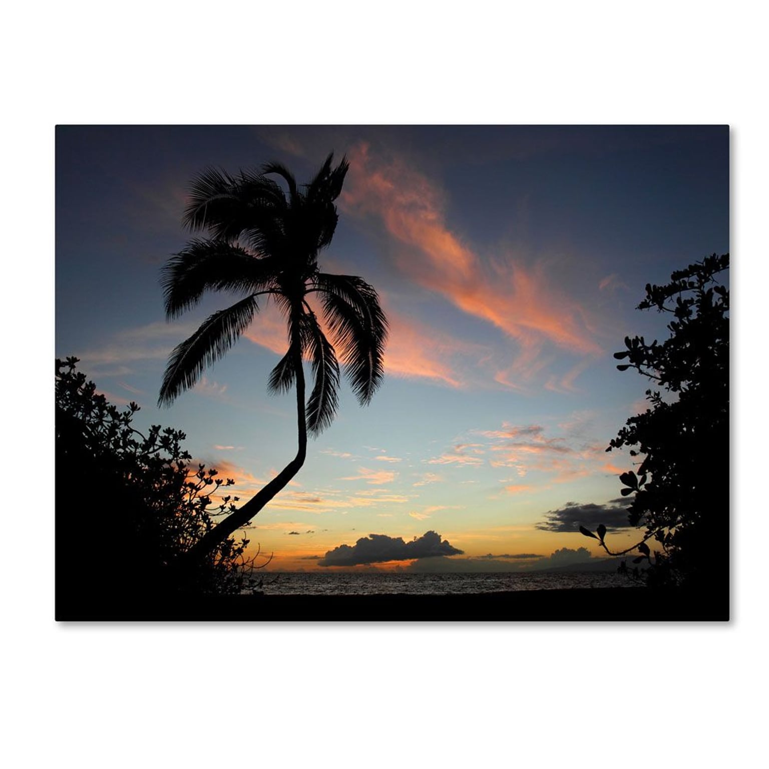 Trademark Fine Art Tropical Sunset 14 x 19 Canvas Art