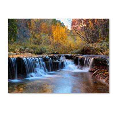 Trademark Fine Art Zion Autumn 30 x 47 Canvas Art