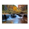 Trademark Fine Art Zion Autumn 30 x 47 Canvas Art