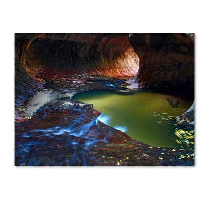 Trademark Fine Art Zion Subway 30 x 47 Canvas Art