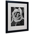 Trademark Fine Art Black & White Rose 16 x 20 Black Frame Art