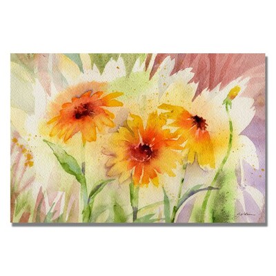 Trademark Fine Art Medow Daisey Trio 16 x 24 Canvas Art