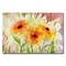 Trademark Fine Art Medow Daisey Trio 16 x 24 Canvas Art