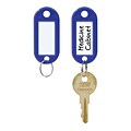 MMF IndustriesSTEELMASTER Label-Window Key Tags, Blue (201400608)