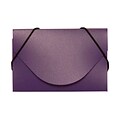 JAM Paper® Plastic Business Card Holder Case, Purple Solid, Sold Individually (291618970)
