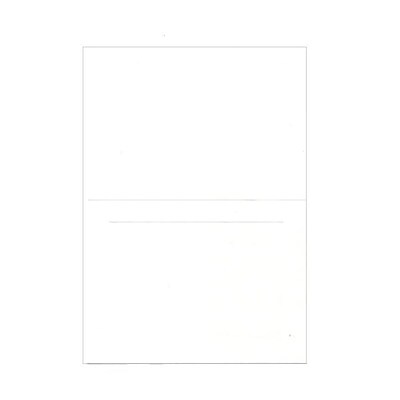 JAM Paper® Blank Foldover Cards, A6 size, 4 5/8 x 6 1/4, White Panel, 100/pack (309927)
