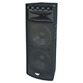 Pyle® PADH215 2000 W 15 Speaker Cabinet