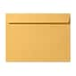 LUX Moistenable Glue #13 Booklet Envelope, 10" x 13", Brown, 500/Box (16162-500)