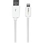 Startech 8-Pin Lightning Connector to USB Cable For iPhone / iPod / iPad; 5.91", White