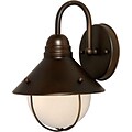 Aurora® 12 x 12 100 W 1 Light Outdoor Lantern, Antique Bronze