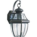 Aurora® 14 x 8 100 W 1 Light Outdoor Lantern W/Clear Beveled Glass Shade, Royal Bronze