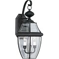 Aurora® 21 x 10 60 W 2 Light Outdoor Lantern W/Clear Beveled Glass Shade, Black