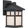 Aurora® 10 1/2 x 6 18 W1 Light Outdoor Lantern W/Honey Glass Shade, Black