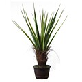 Laura Ashley 50 High End Realistic Silk Giant Agave Plant in Contemporary Planter