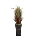 Laura Ashley 79 Onion Grass With Cattails in 16 Fiberstone Planter, Black/Bronze