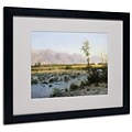 Trademark Fine Art Prairie Landscape 16 x 20 Black Frame Art