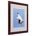Trademark Fine Art Soaring 16 x 20 Wood Frame Art