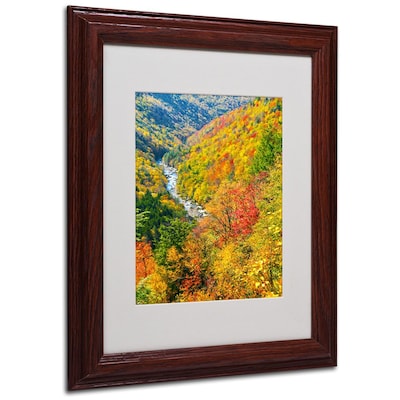 Trademark Fine Art Valley 11 x 14 Wood Frame Art