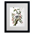 Trademark Fine Art Downy Woodpecker 16 x 20 Black Frame Art