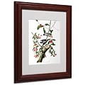 Trademark Fine Art Downy Woodpecker 11 x 14 Wood Frame Art
