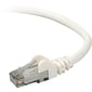 Belkin Cat.6 Patch Cable