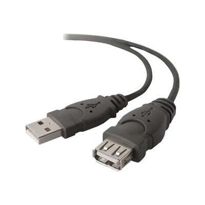 Belkin® 10 Pro Series USB 1.1 Extension Cable