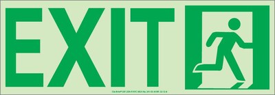 NYC Door  Exit Sign, Right, 4.5X13, Flex, 7550 Glo Brite, MEA Approved