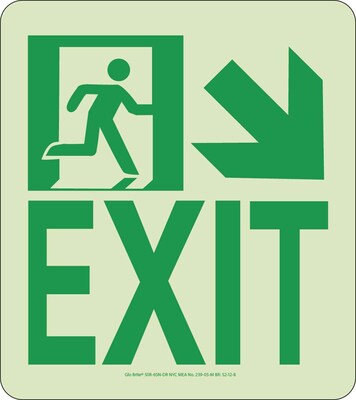 NYC Wall Mont Exit Sign, Down Right, 9X8, Rigid, 7550 Glo Brite, MEA Approved
