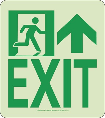 NYC Wall Mont Exit Sign, Forward/Right Side, 9X8, Rigid, 7550 Glo Brite, MEA Approved