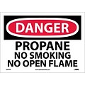 Danger Labels; Propane No Smoking No Open Flame, 10X14, Adhesive Vinyl