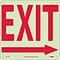 Directional Signs; Exit (With Right Arrow), 10X10, Glow Rigid