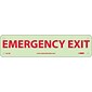 Notice Signs; Emergency Exit, 3X12, Glow Rigid