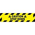 Floor Signs; Walk On, Caution Step Down, 6X24