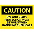 Caution Labels; Eye And Glove Protection Must Be Worn When Handling Chemicals, 10X14, Adhesive Vinyl