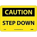 Caution Signs; Step Down, 7X10, Rigid Plastic