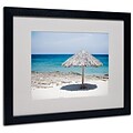 Trademark Fine Art Aruba Umbrella 16 x 20 Black Frame Art