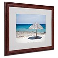 Trademark Fine Art Aruba Umbrella 16 x 20 Wood Frame Art