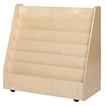 Wood Designs™ Literacy 30(H) Fully Assembled Plywood Book Storage and Display W/3 Trays