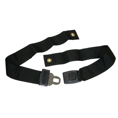 Briggs Healthcare  Wheelchair Safety Strap Black