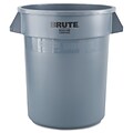 Rubbermaid Brute Plastic Trash Can with Lid, Gray, 32 gal. (FG263200GRAY)