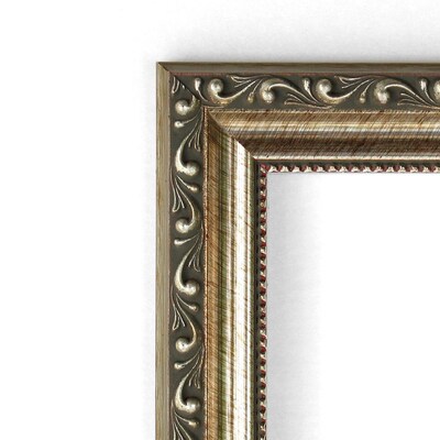 Amanti Art 21.88" x 17.88" Parisian Silver Medium Wall Mirror, Antique Silver