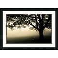 Amanti Art Andy Magee Shenandoah Framed Print Art, 19 x 26