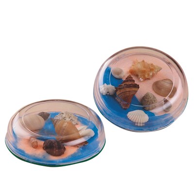 S&S® Seashell Paperweight Craft Kit, 12/Pack