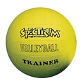 Spectrum™ Trainer Volleyball, Regular Size, Yellow