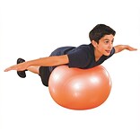 S&S® Exercise and Therapy Ball, 17 1/2(Dia.)