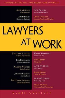 Lawyers at Work Clare Cosslett Paperback
